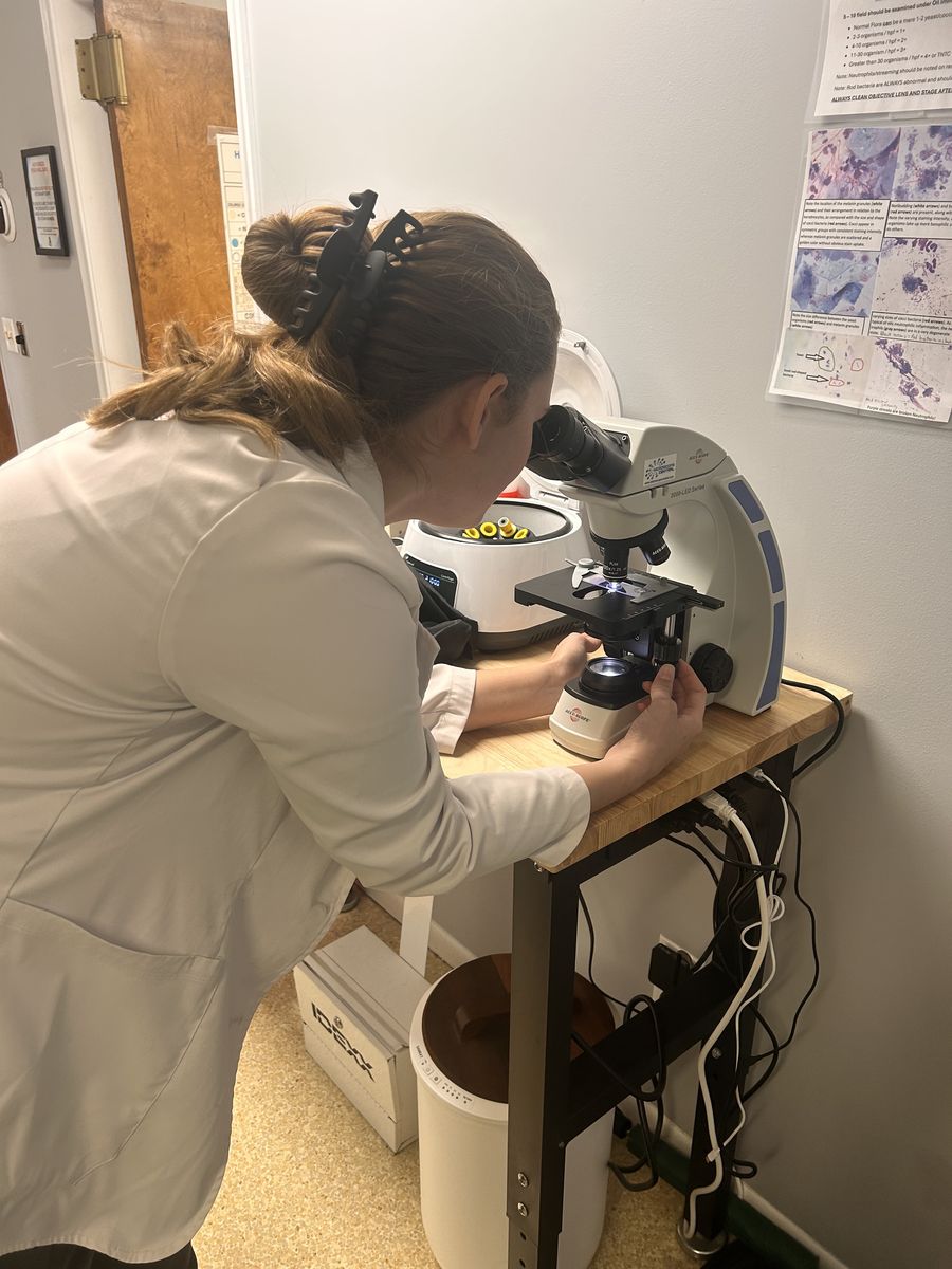 Examining a sample under the microscope in our in-house lab